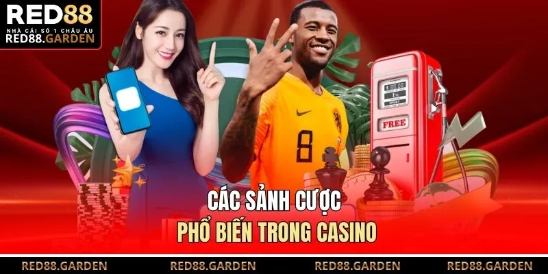 Các sảnh cược phổ biến trong casino