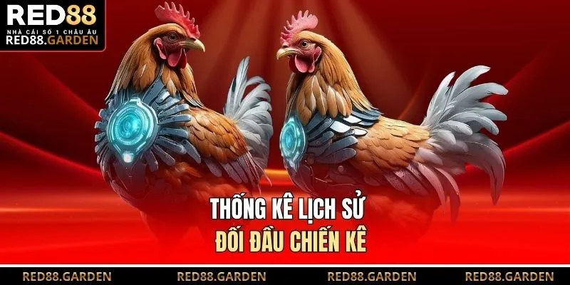 Thống kê lịch sử đối đầu chiến kê